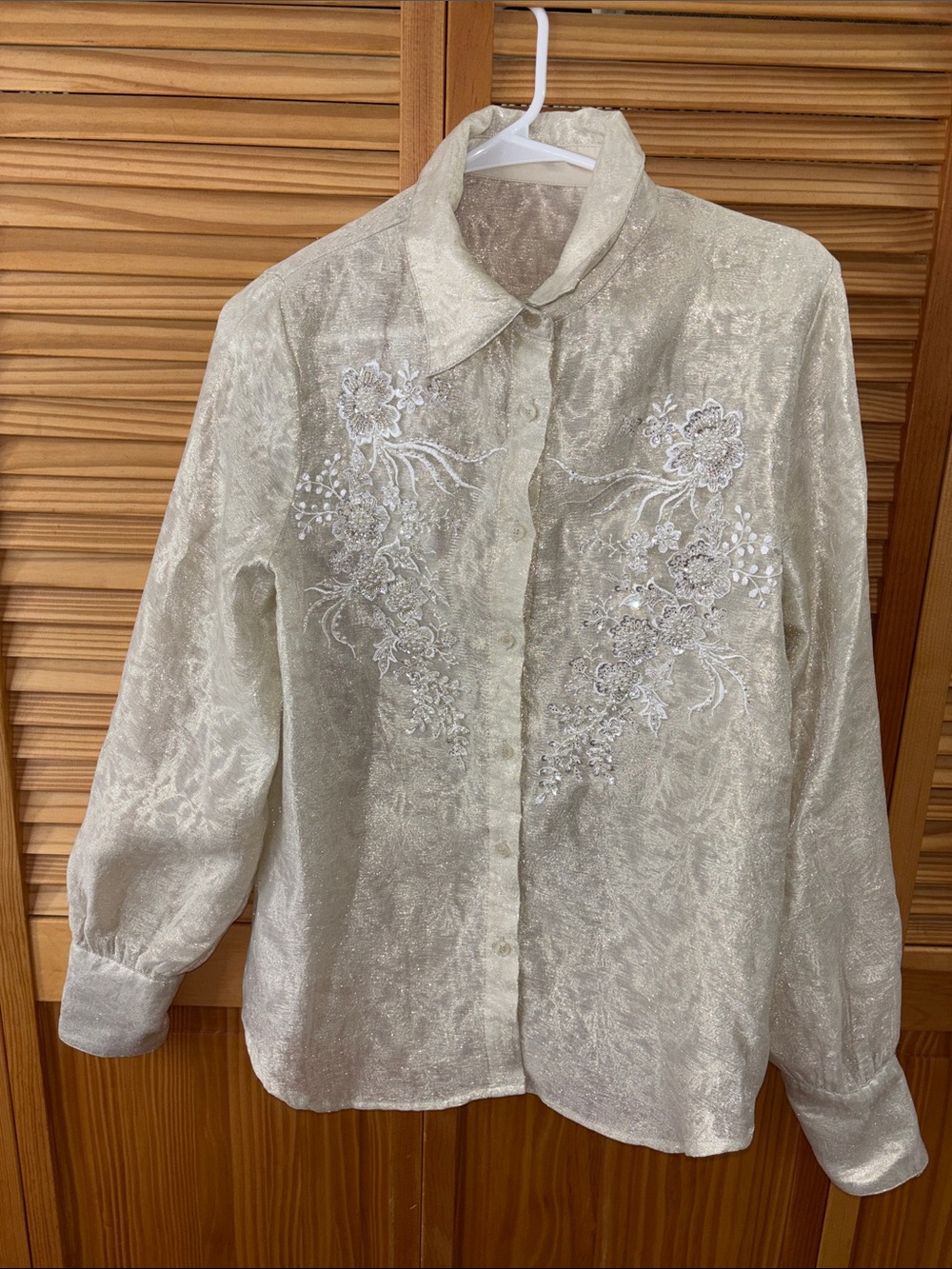 Embroidered Sheer Shimmer Button-Up Blouse